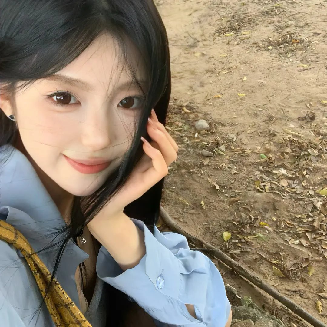 萌犬好声音3